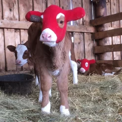 Kalf Kozie -Pet Care Supplies 20386 3