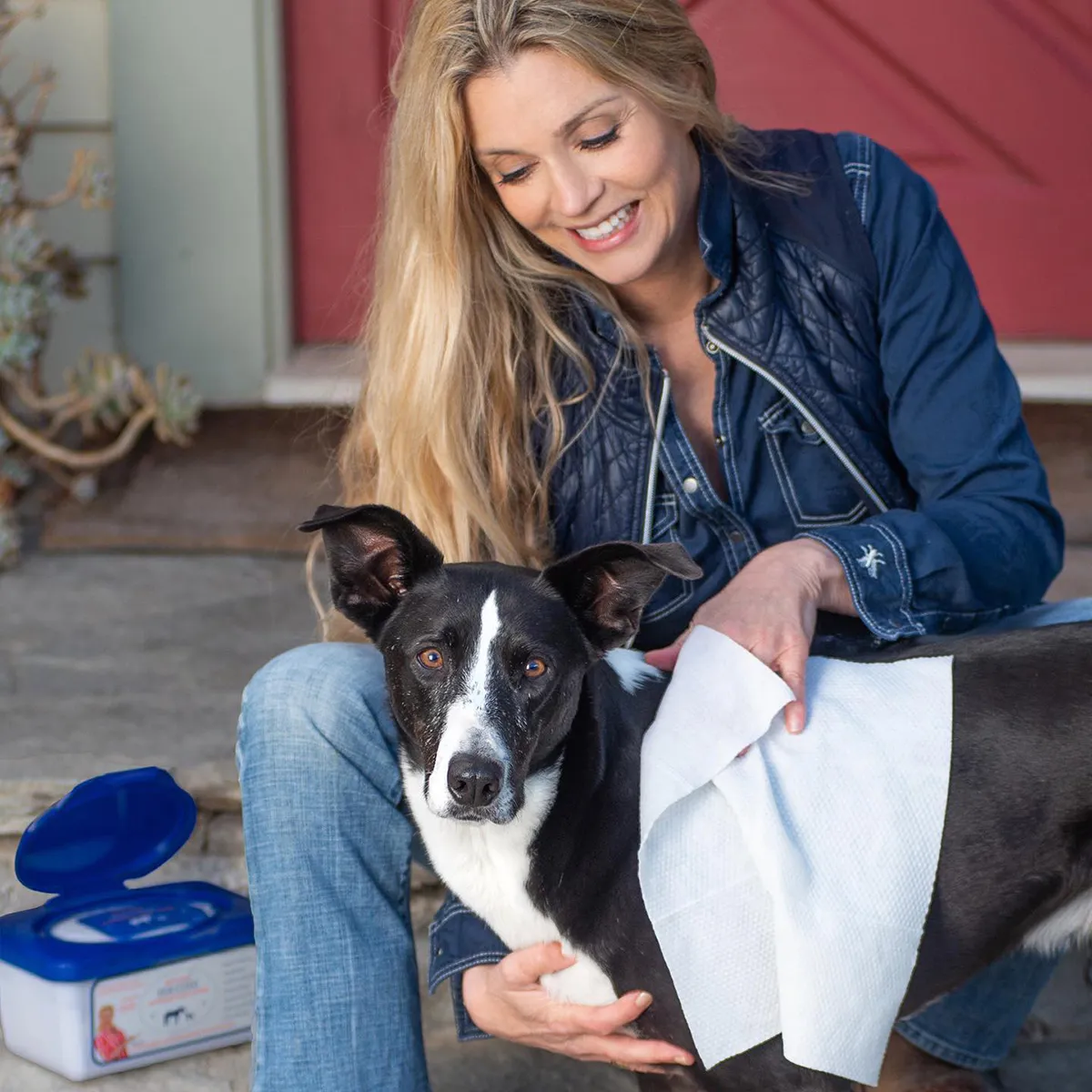 Skin & Coat Grooming Cloth Wipes 4 Skin & Coat Grooming Cloth Wipes - Image 4