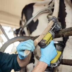 Tailwell Titanium Trimmer Kit -Pet Care Supplies 20452 3